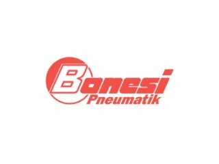 Bonesi logo